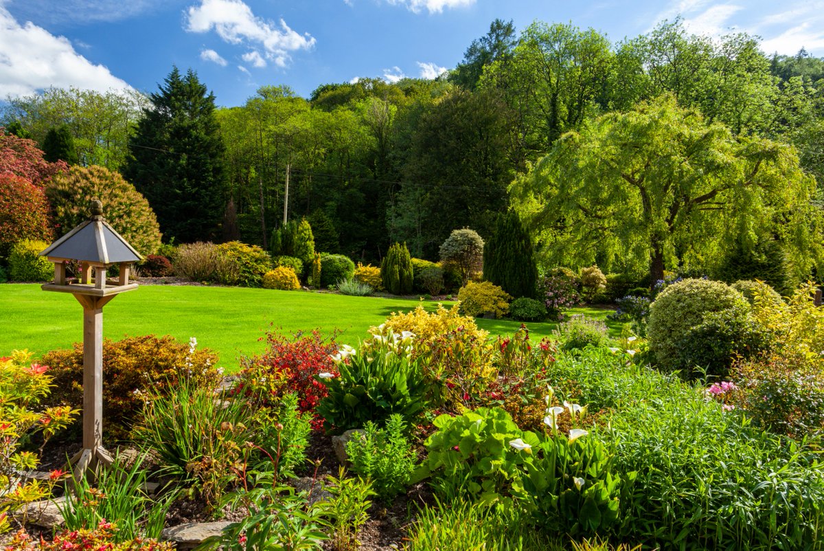 🌟 NEW INSTRUCTION 🌟

Beautiful property with annexe and holiday cottage providing a lucrative income in enchanting grounds of 0.84 of an acre!

📍 Stoke Rivers 💷 OIEO £795,000

#BeautifulHome #IncomePotential #PropertyForSale #NorthDevon #EstateAgent #InstructJacksonStops