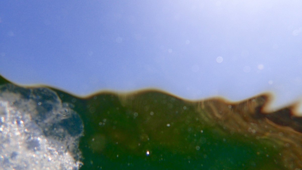 To find all my #AbletonLive #maxforlive #devices just check sellfy.com/szkdevices &amp; m4l.szk.fr ♡ ! #download #plugins #love #szkdevices #szk #support Some new ones are coming !!!