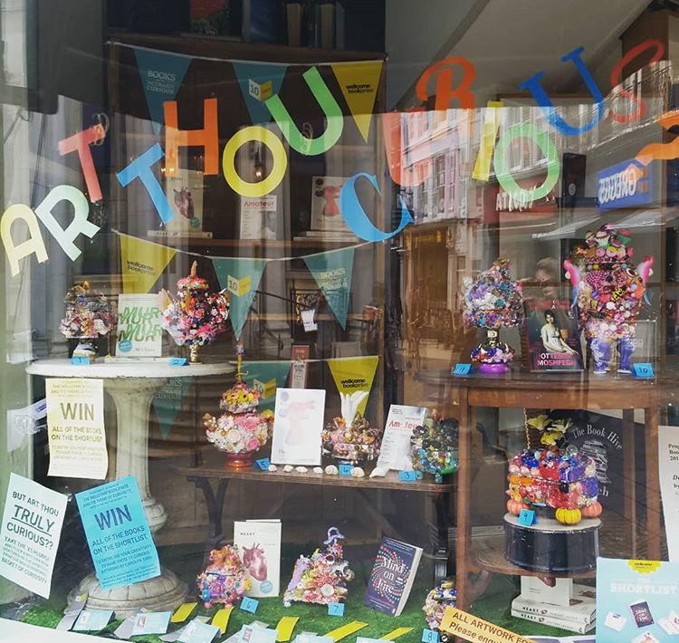 wellcomebkprize's tweet photo. π At last! We're delighted to announce the bookshop winners for our #curiousdisplay competition for #WBP2019 - congratulations to our joint winners @bookhive and @RedLionBooks! Thanks to all the stores who entered this year and your support for this year's prize! π https://t.co/cWXGNjY3Ds