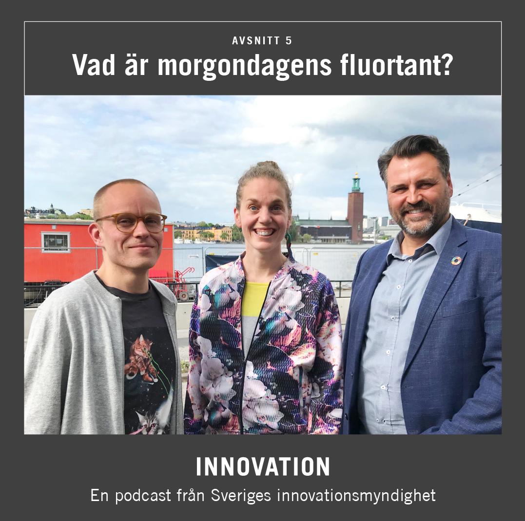vinnovase's tweet photo. Vad är morgondagens fluortant? Hur gör vi för att offentlig sektor ska driva på utvecklingen och möta människors behov och de samhällsutmaningar vi står inför nu? Lyssna på vår podd och få konkreta tips https://t.co/JG9dnVUisL #offentligsektor #offrum https://t.co/GMHELUWM3H