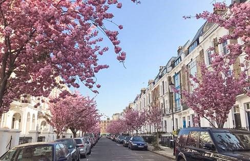 Last week we sponsored the planting of trees in Fentiman and the surrounding roads in #Oval. Read more here about the initiative and how greenery adds to your areas kerbside appeal and #PropertyValues: bit.ly/2X2o22N