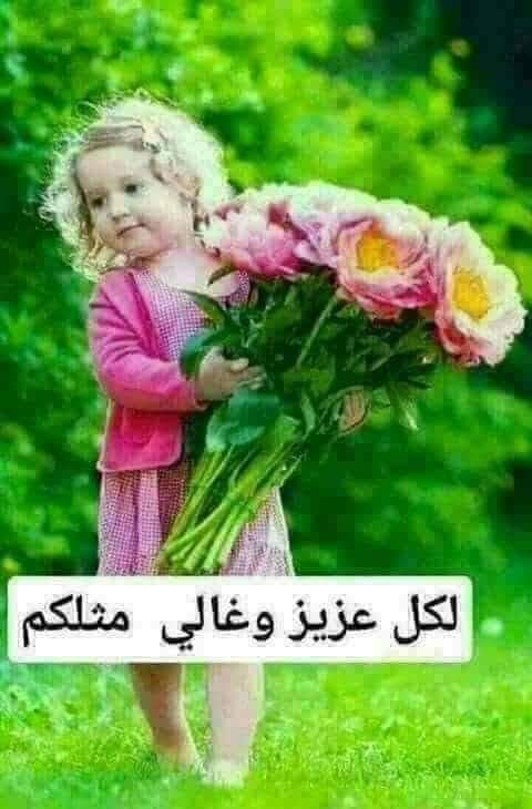 wardaalbedaa's tweet photo. https://t.co/MWWhd9w5X2