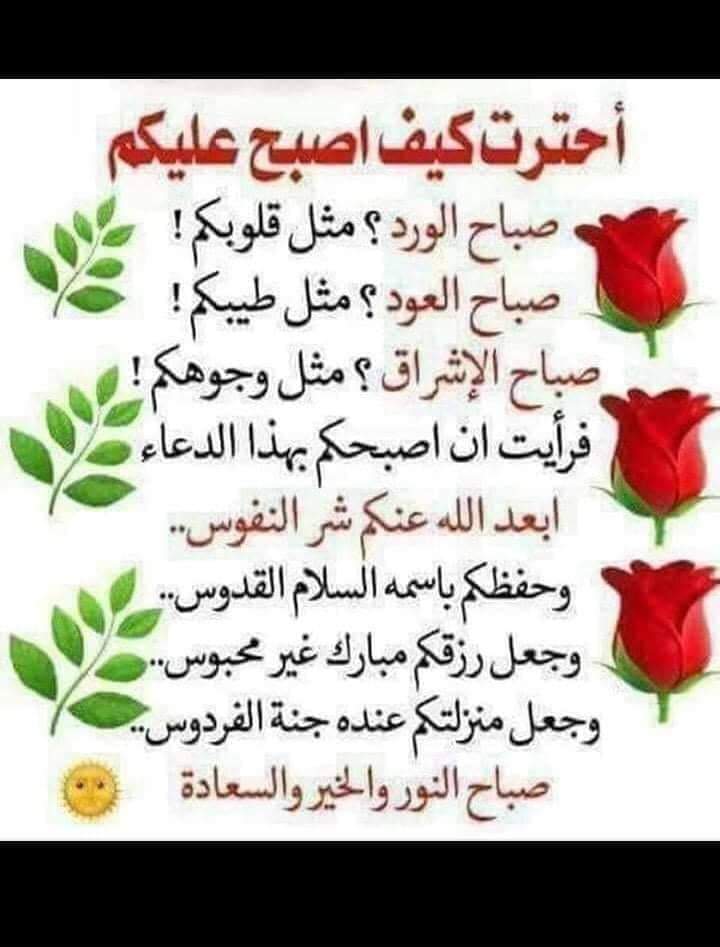 wardaalbedaa's tweet photo. https://t.co/kL6xqgbXYe