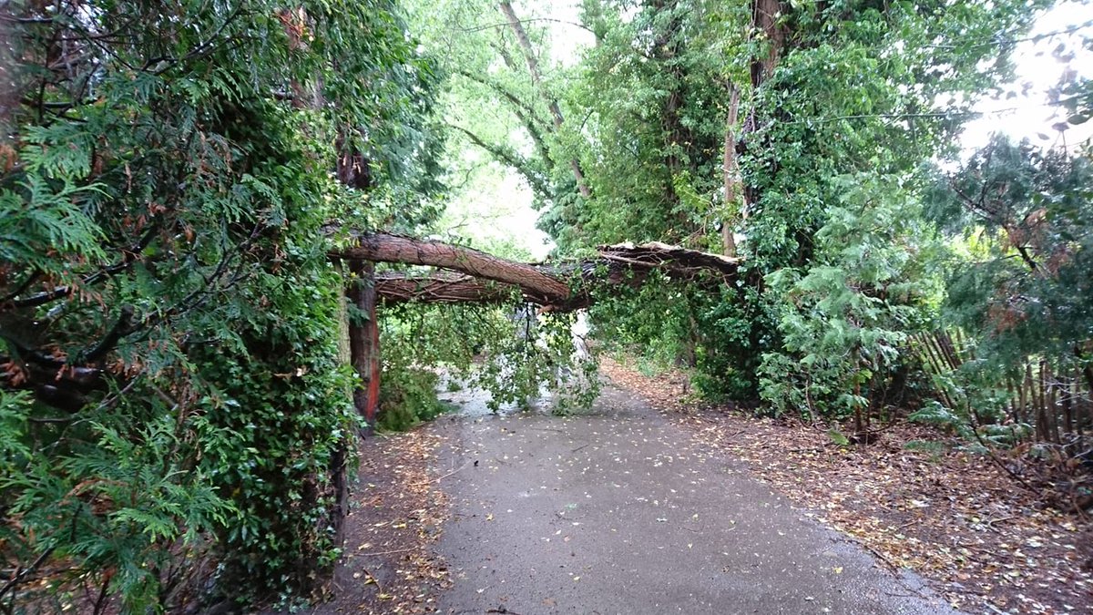 Eric Kerry tweet media