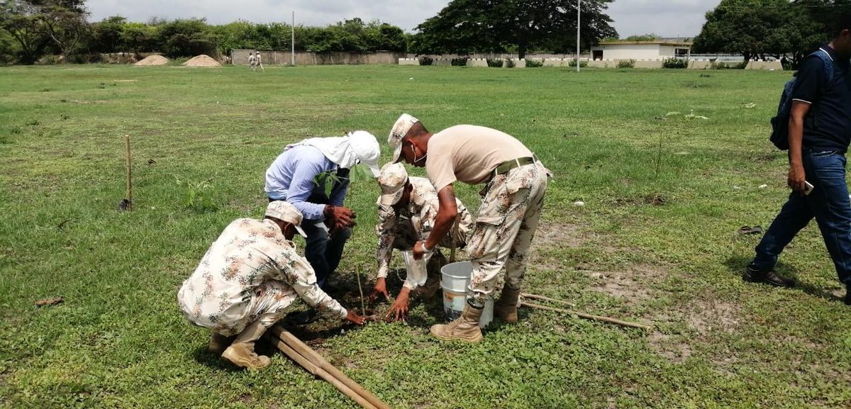 Ingenieros_EJC's tweet photo. #HéroesBicentenarios del Batallón de @Ingenieros_EJC n.° 2 “Gr. Francisco Javier Vergara y Velasco” @COL_EJERCITO en coordinación con la #CRA y #ALMASA del #Atlántico, efectuaron la siembra de 200 árboles frutales y maderables en las instalaciones de la Unidad táctica. https://t.co/fgHLGadD8Y