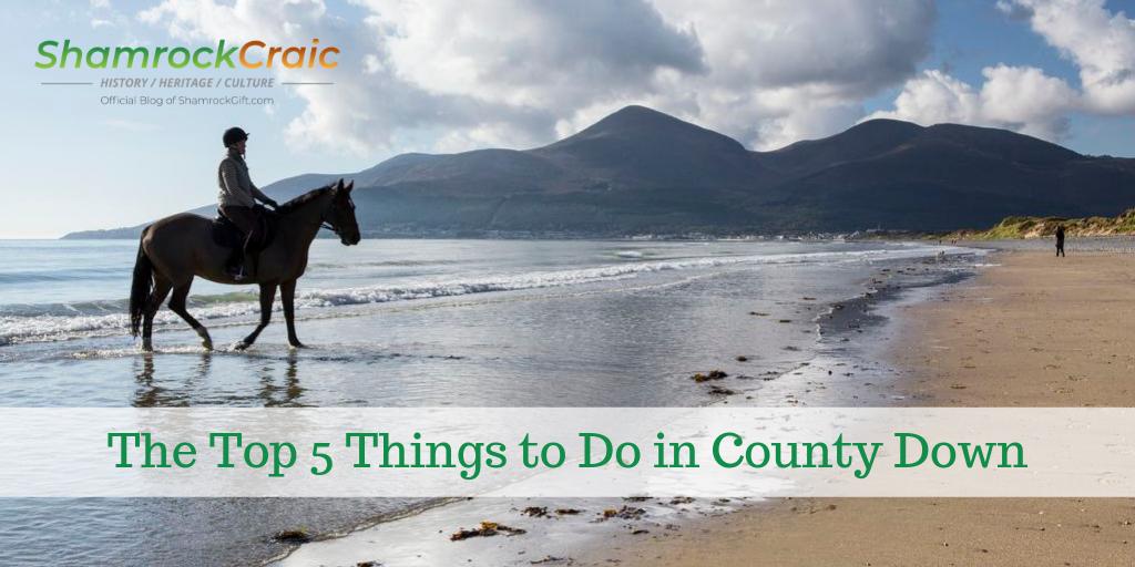 County Down in Northern Ireland has a lot to offer, from the country's highest peak to the burial place of St. Patrick. Here are 5 places you won't want to miss on your next trip.

#TravelTuesday #SaintPatrick #32Counties

shamrockgift.com/blog/the-top-5…