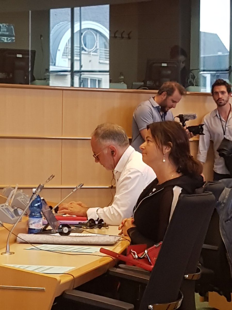 Sylvie Guillaume tweet media