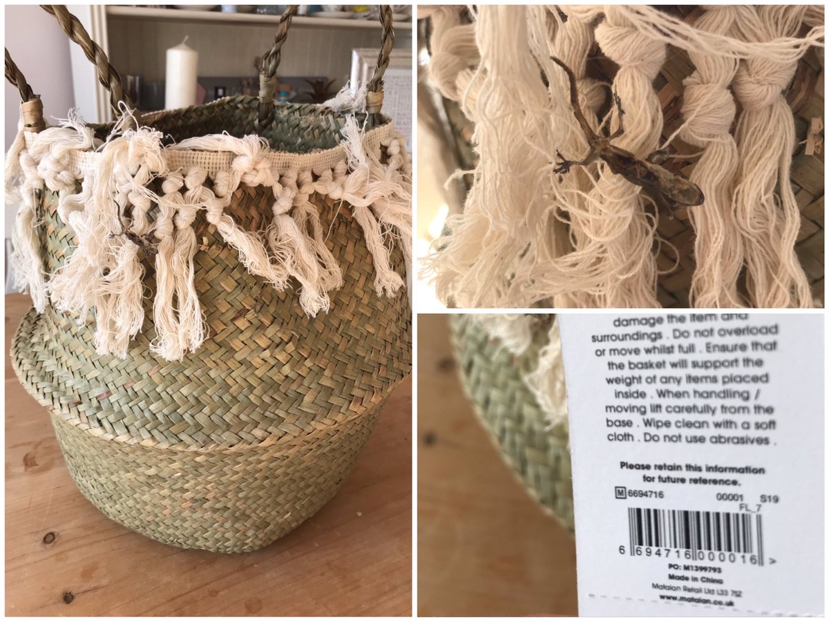 LucyLPhotos's tweet photo. Bought this from Matalan today and just found a dead lizard 🦎 on it!! It’s made in China apparently 😳😳 #matalan @Matalan @MatalanHelp @Matalan https://t.co/dArLkQbWs0