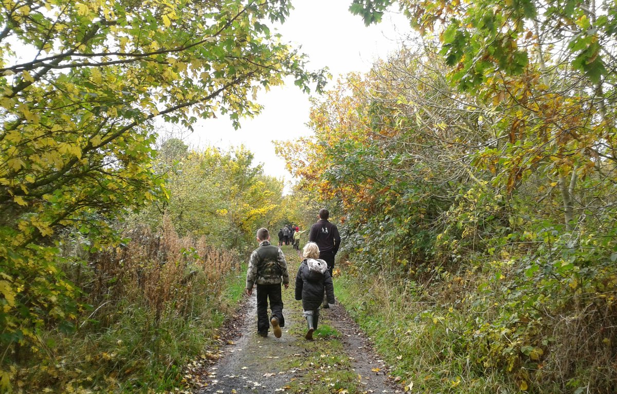 OWLS_Ireland's tweet photo. Join us this Sunday at 10 in Waterstown Park, Palmerstown to make your own nature crown! Get creative on a nature walk and see what precious items we can find to make your crown! Supported by @sdublincoco . Email education@owls.ie to book! https://t.co/90iRcTJFTS