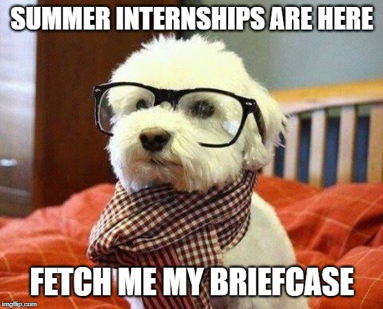 FSUCPS's tweet photo. Business internships, jobs and opportunities are featured in our newsletter every Tuesday at 11am! #CheckYourEmail to stay in the know! #FSUBizInterns https://t.co/DUJHZIi8Hd