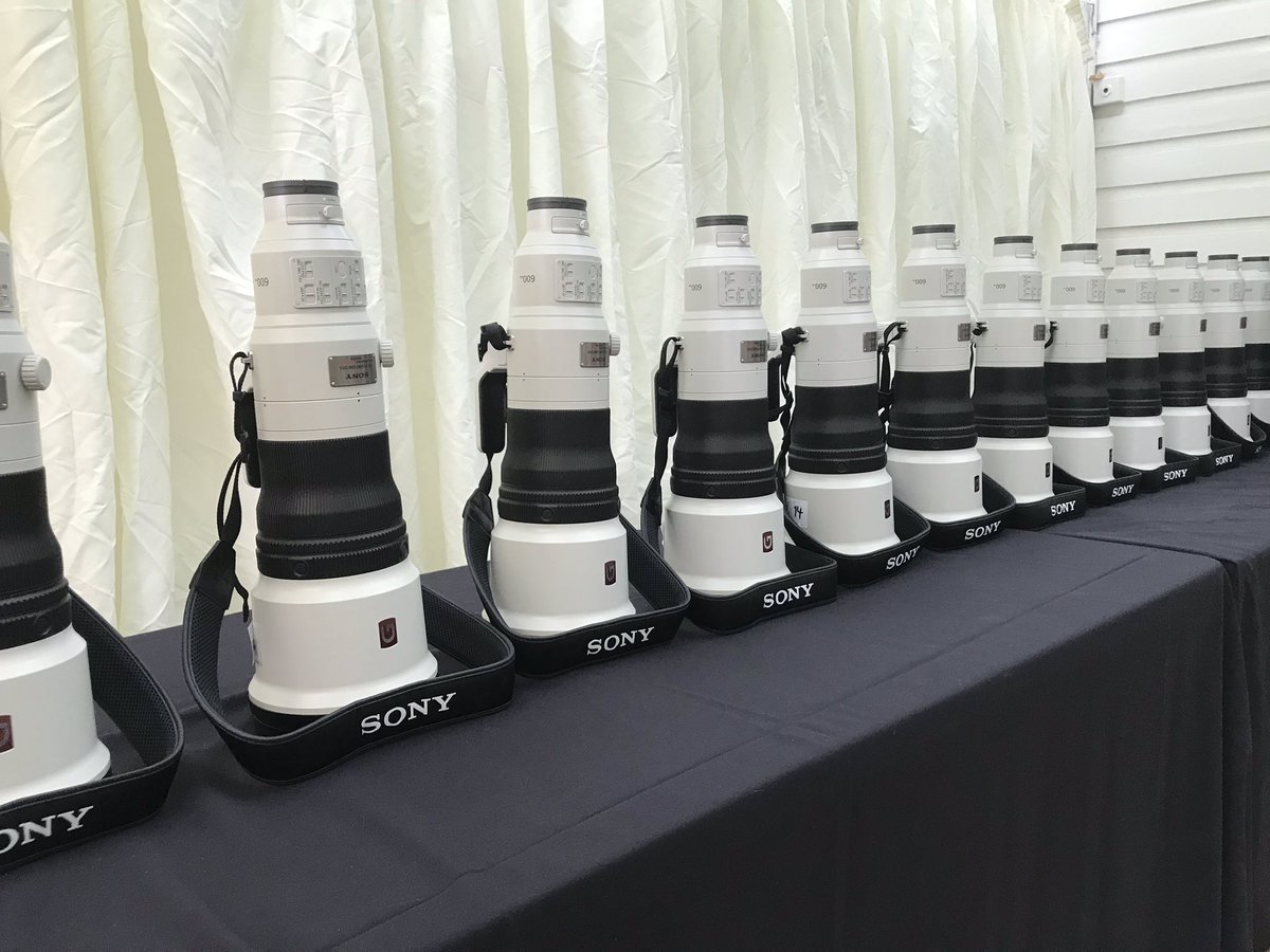 TuttoDigitale tweet media