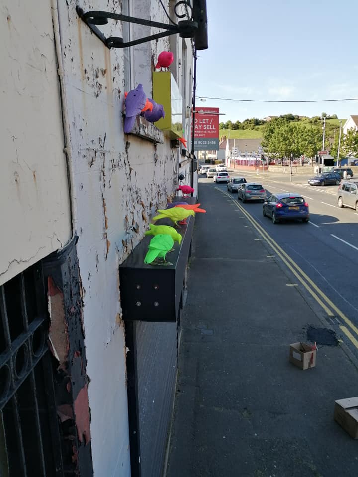 DownTimeFest's tweet image. Anyone seen these wee fellas roosting in Downpatrick? Seem to be getting into the festival spirit? @nmdcouncil @OPENARTSNI @ArtsCouncilNI @ArtsMatterNI @comartspartner @thisisfriz @KVLR1 @emicartist @jonnymckerr @Deepdownarts @Downroyal @DownNewsLtd