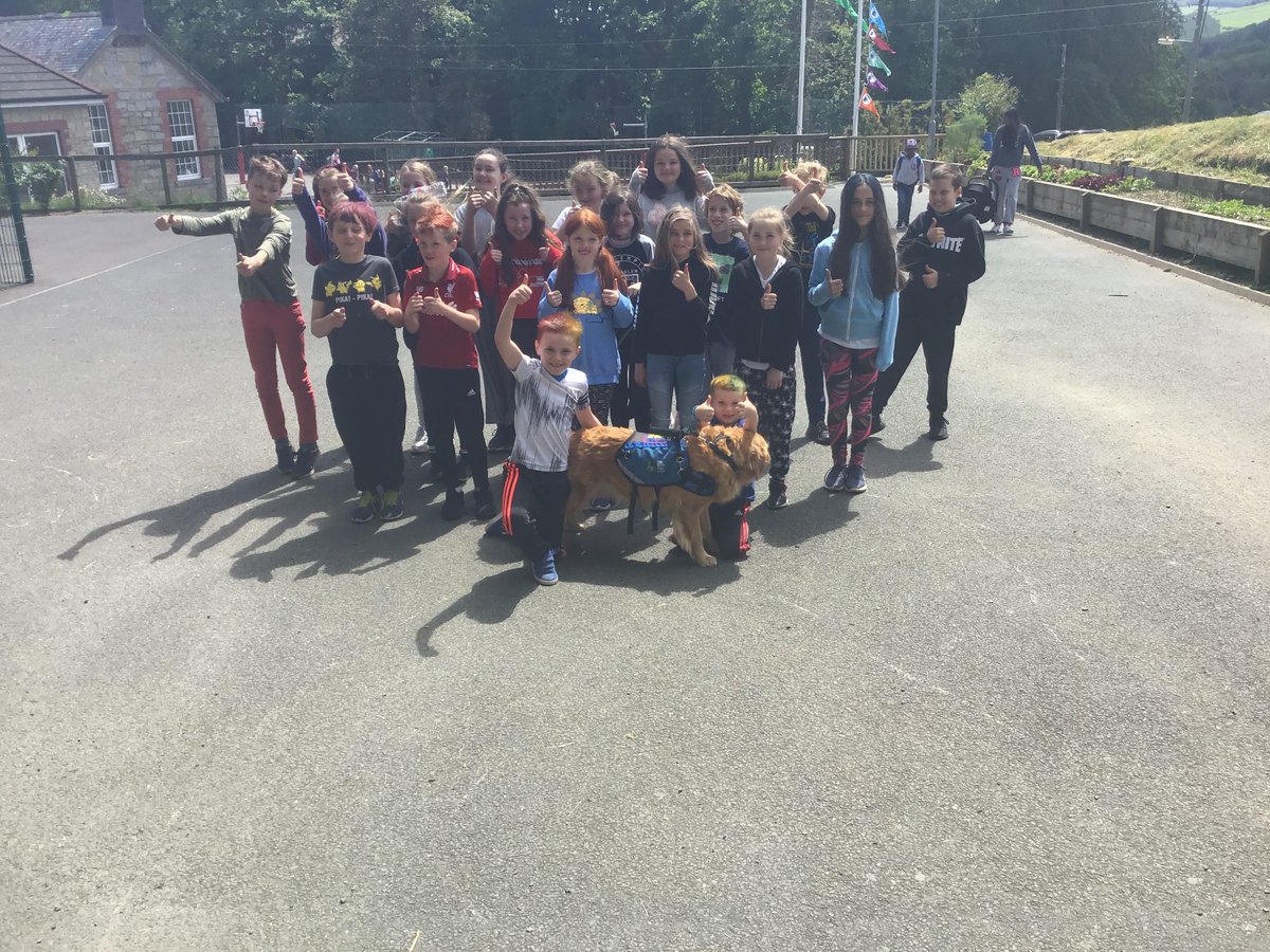 Scoil Chaoimhín (@scoilchaoimhin) on Twitter photo Today was Crazy Hair Day in our school. We are raising money for Irish Guide Dogs. Daniel and Ben brought Maggie, their assistance dog in to say hello! <a href="/irishguidedogs/">Irish Guide Dogs for the Blind</a> Today was Crazy Hair Day in our school. We are raising money for Irish Guide Dogs. Daniel and Ben brought Maggie, their assistance dog in to say hello! <a href="/irishguidedogs/">Irish Guide Dogs for the Blind</a>