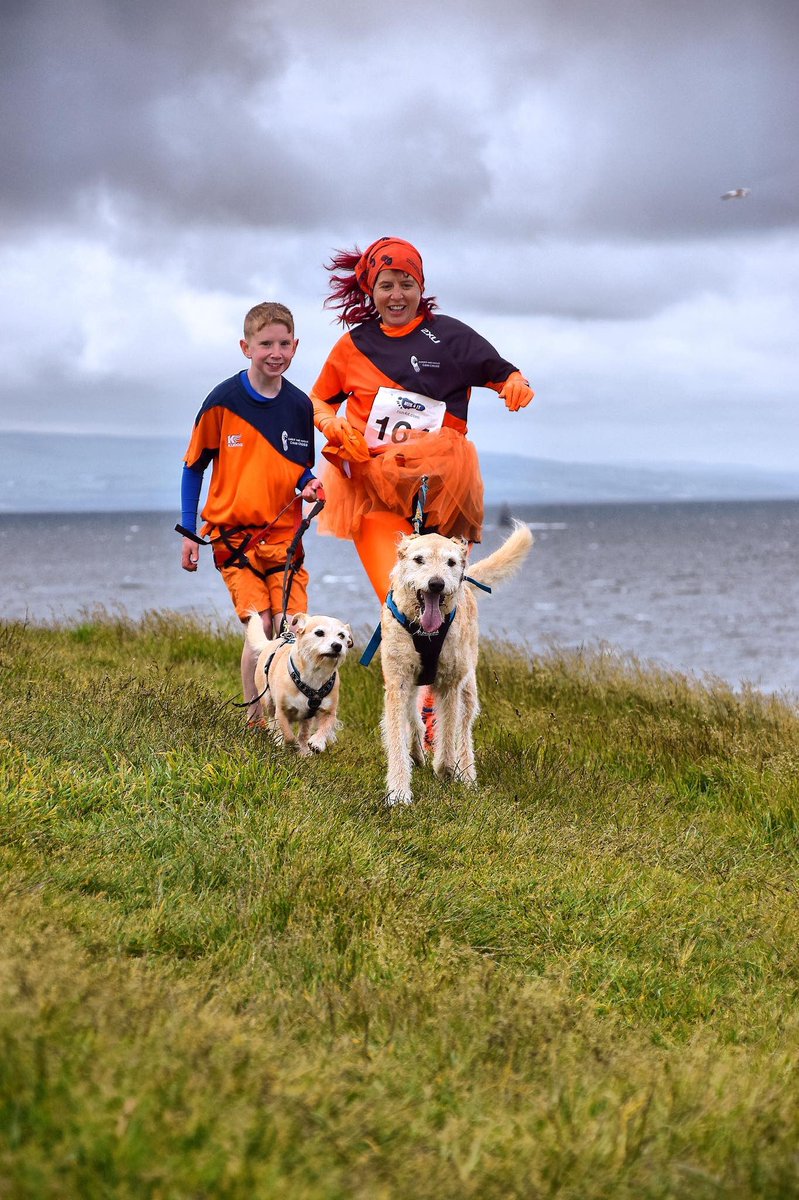Clairebee26's tweet image. The best times @CaniFit Irvine Beach Relay #runningdogs #cutedogsoftwitter #scotland #canisportscotland