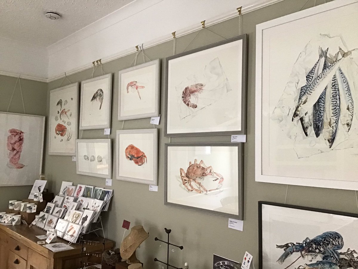 NO WAY just found out that #june is also #national #seafood #month. Our resident #seafood #artist <a href="/LucyclaytonLucy/">Lucy Clayton</a> has the most beautiful #exhibition of #blottedline #original #giclee #prints and #card on display as part of <a href="/seopenstudios/">South East Open Studios</a> #TunbridgeWells  seos-art.org