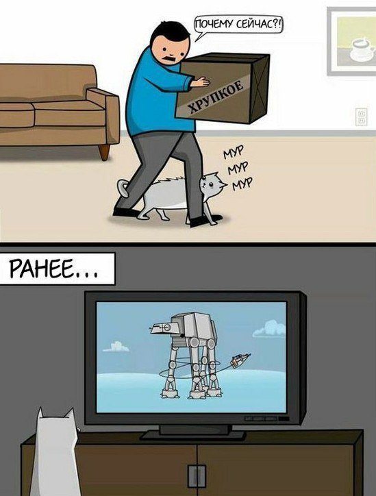 D8yIqOzWkAQ77J0?format=jpg&name=900x900