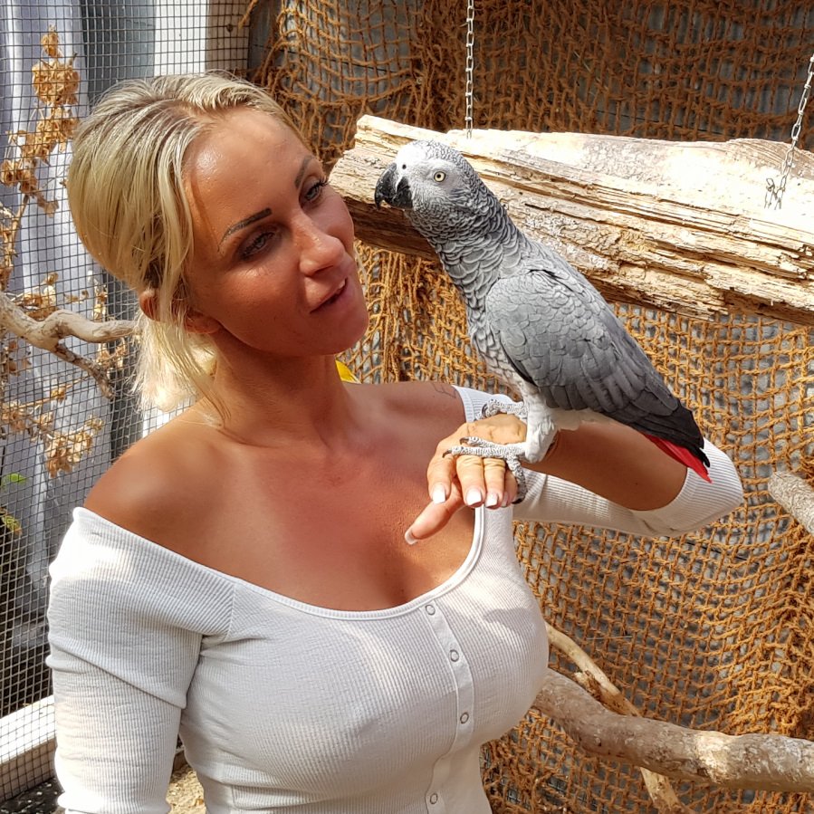 Meine kleinen Rosi sie ist jetzt schon 7 Jahre alt ❤🐦
#candysamira  #voliere #papagei #graupapagei #ara #pet #parrot #grayparrot #mylove  #twitterpet #parrots #parrotsoftwitter #birdsoftwitter