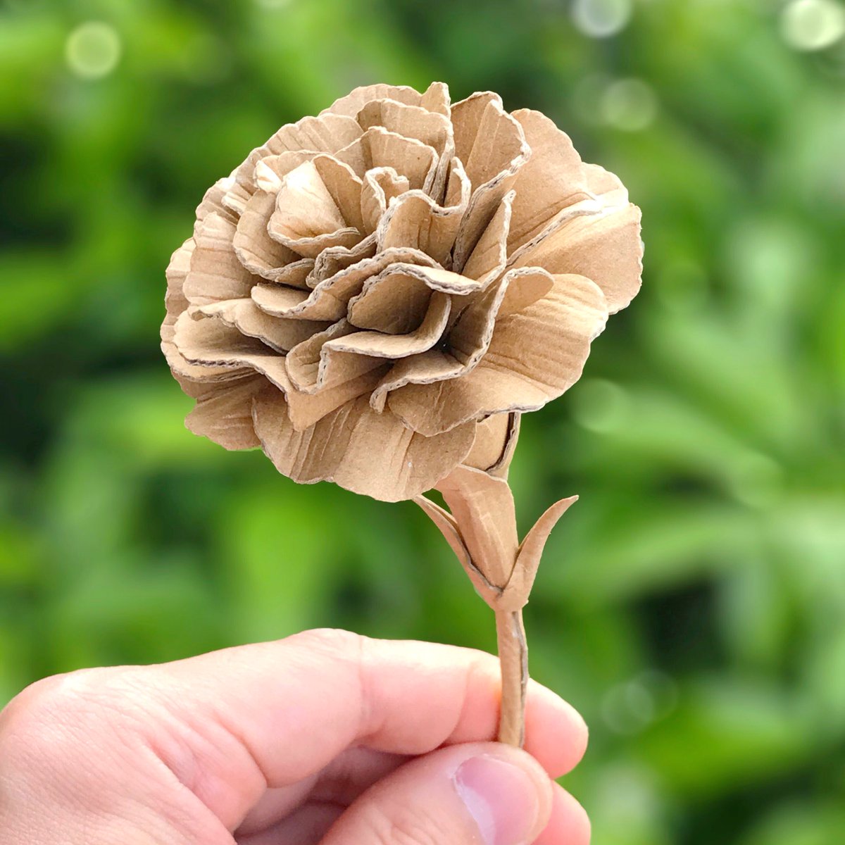 オダカマサキ オドンガー大佐 あなたの花見せてください ダンボールで作った カーネーション 桜の盆栽 クリスマスリース ダンボールアート T Co Pwpk0w2wdv Twitter