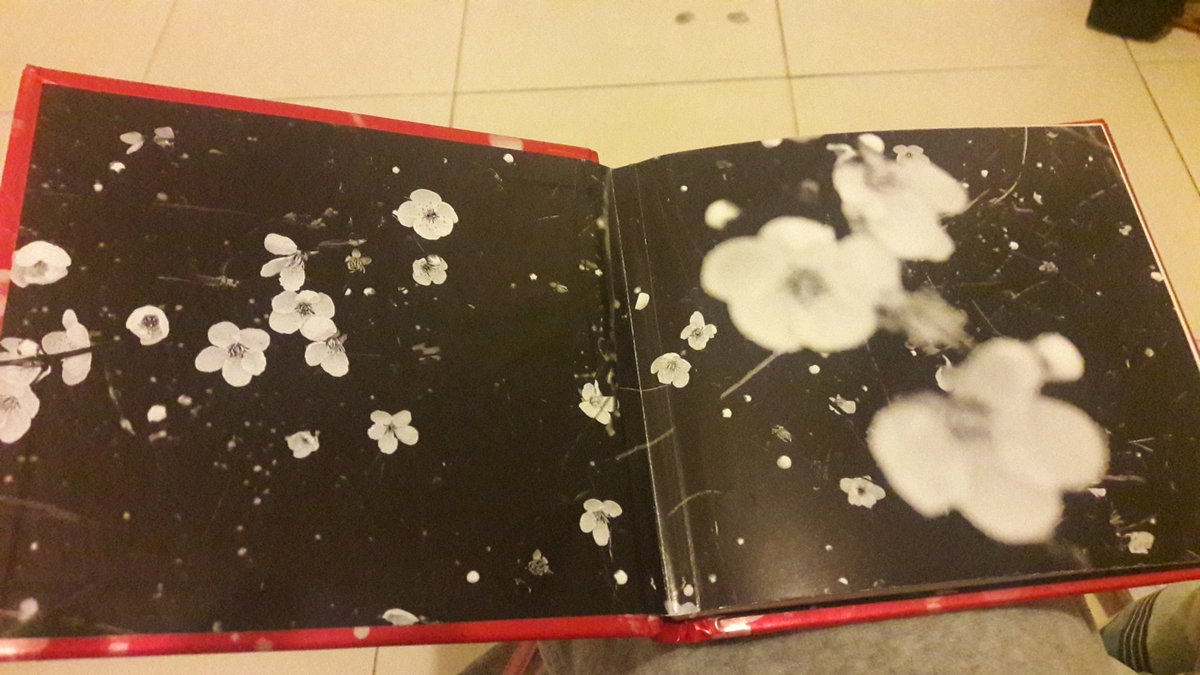 saben que esto¿? en el IG de #ApProducciones hay un tremendo sorteo del disco #HaciendoCosasRaras ...si se copan mirando sabrán como participar¡!