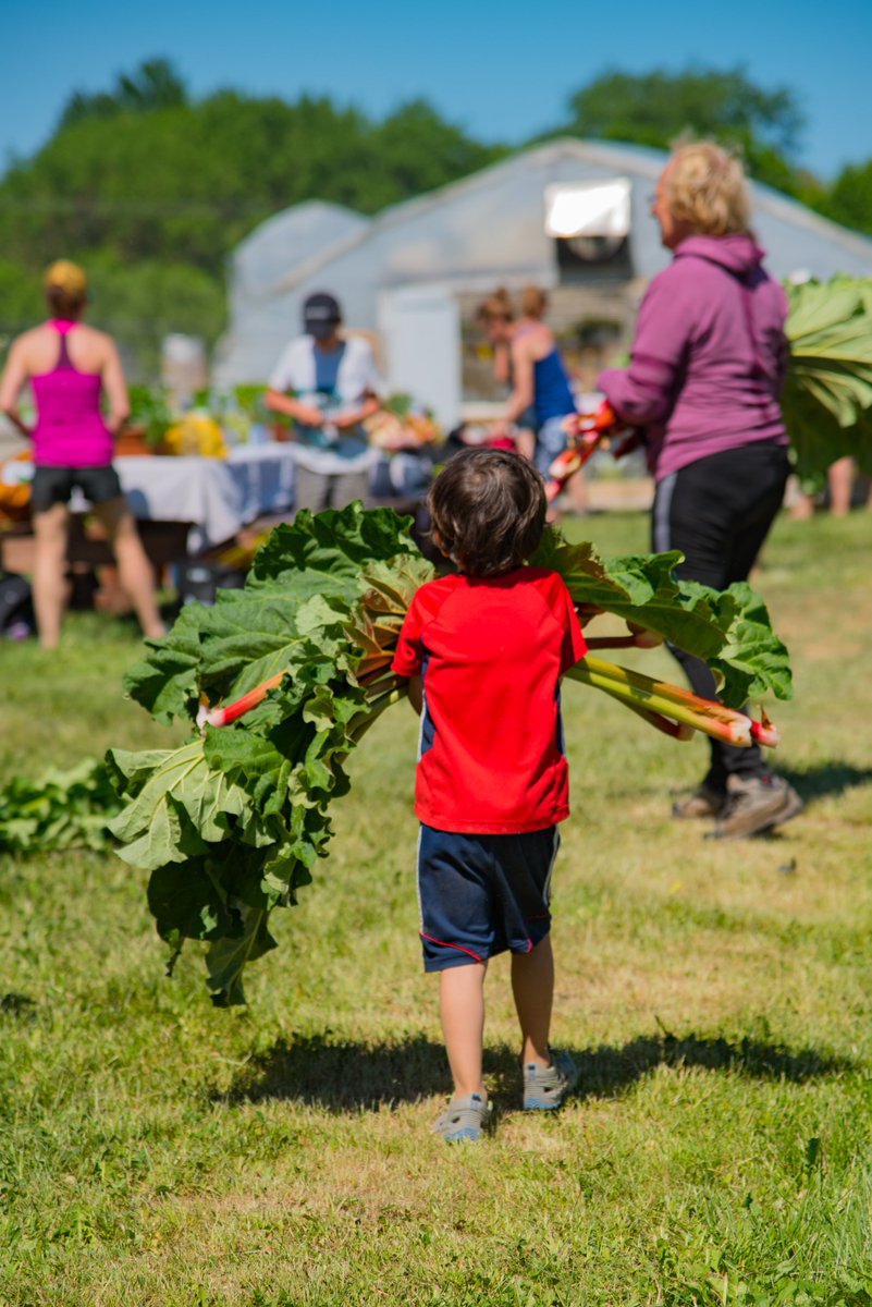 « De l’importance de l’agrotourisme ». Mon 1er article dans <a href="/LeDevoir/">Le Devoir</a> ne pouvait pas porter sur un sujet plus près de mes intérêts et convictions! #agrotourisme <a href="/CaribouMag/">Caribou</a> ledevoir.com/vivre/alimenta…