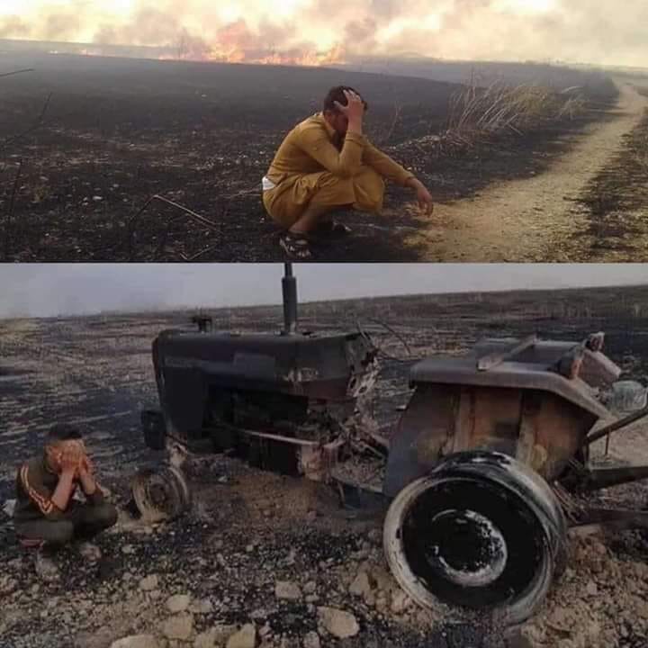 Mystery crop fires continue to scorch thousands of acres in Syria, this time in Hasakah and Qamishli provinces. God help the people of the lands ☹️