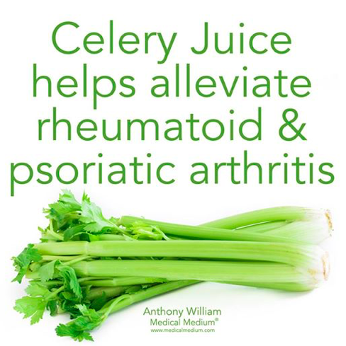 Medical Medium On Twitter Celery Juice Helps Alleviate Rheumatoid Psoriatic Arthritis Https T Co Ebpiv8i97l