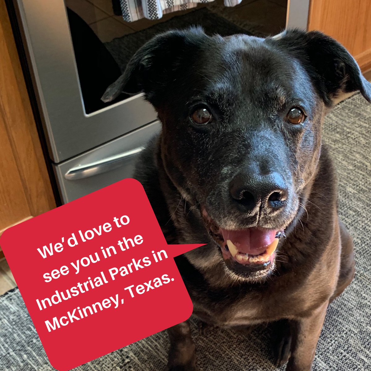 McKinneyTxEDC's tweet photo. Come visit anytime.

#IndustrialPark #NewDevelopment #Moving #Relocation #Future #Dogs #EconomicDevelopment #WorkMcKinney #UniqueMEDC https://t.co/WPxb0KJEU0