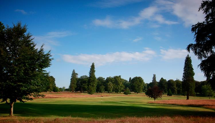 windsor_golf's tweet image. 🚨🚨🚨🚨     SPACES AVAILABLE     🚨🚨🚨🚨
@Bmthalliance @BmthGAlliance @RushmoreGolf 
Wed 19th June / £65 (£55 Guest)

Team of 4 / 2 Scores / Stableford / Pro Medal 
Coffee &amp;amp; Bacon Roll / 18 Holes / 2 Course Meal / Prizes

Contact: golf@bournemouthalliance.co.uk / 07845755016