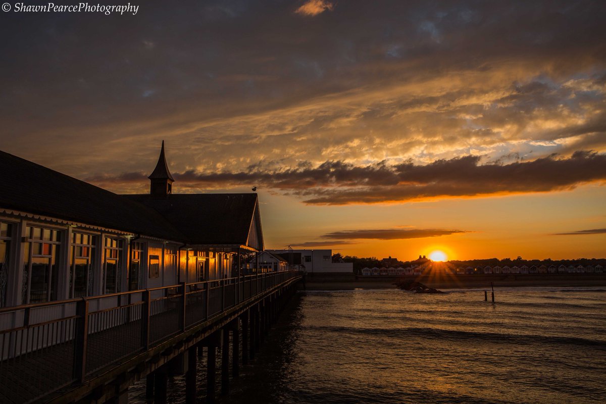 Shawn Pearce tweet media