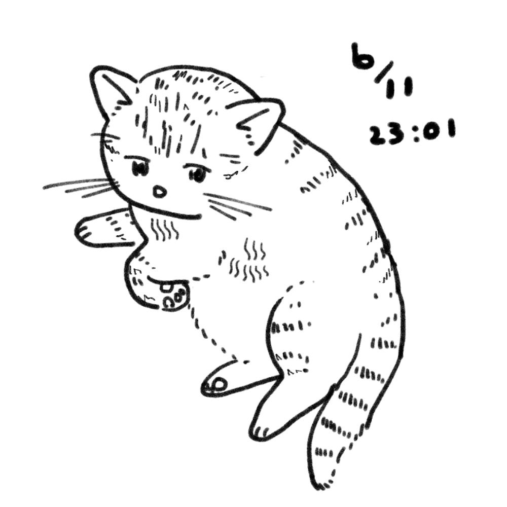 いま見えているねこ 