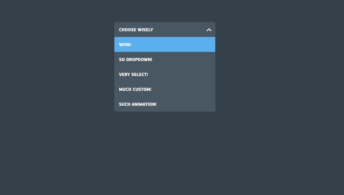 CSS выпадающий список option