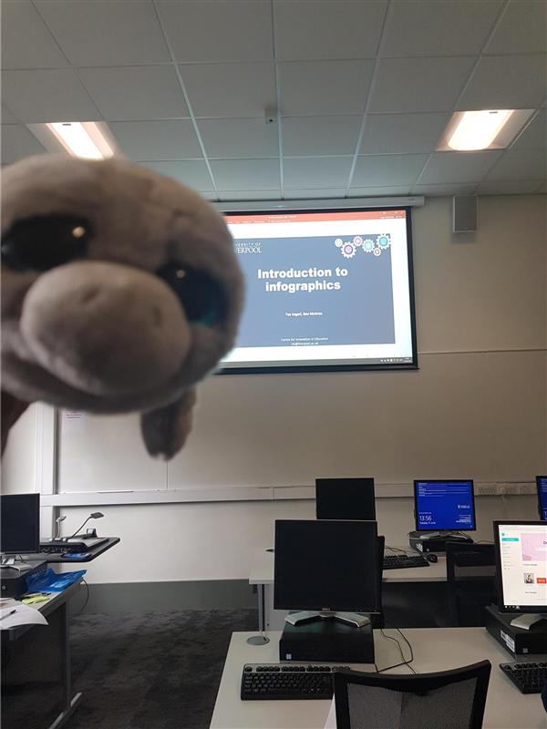 McVitie the Manatee is back at CIE HQ to learn about Infographics from our expert @tyajoon He looks worried but only because he's a land manatee and forgot to bring an umbrella to work today! #ManateeMonday #BiscuitClub