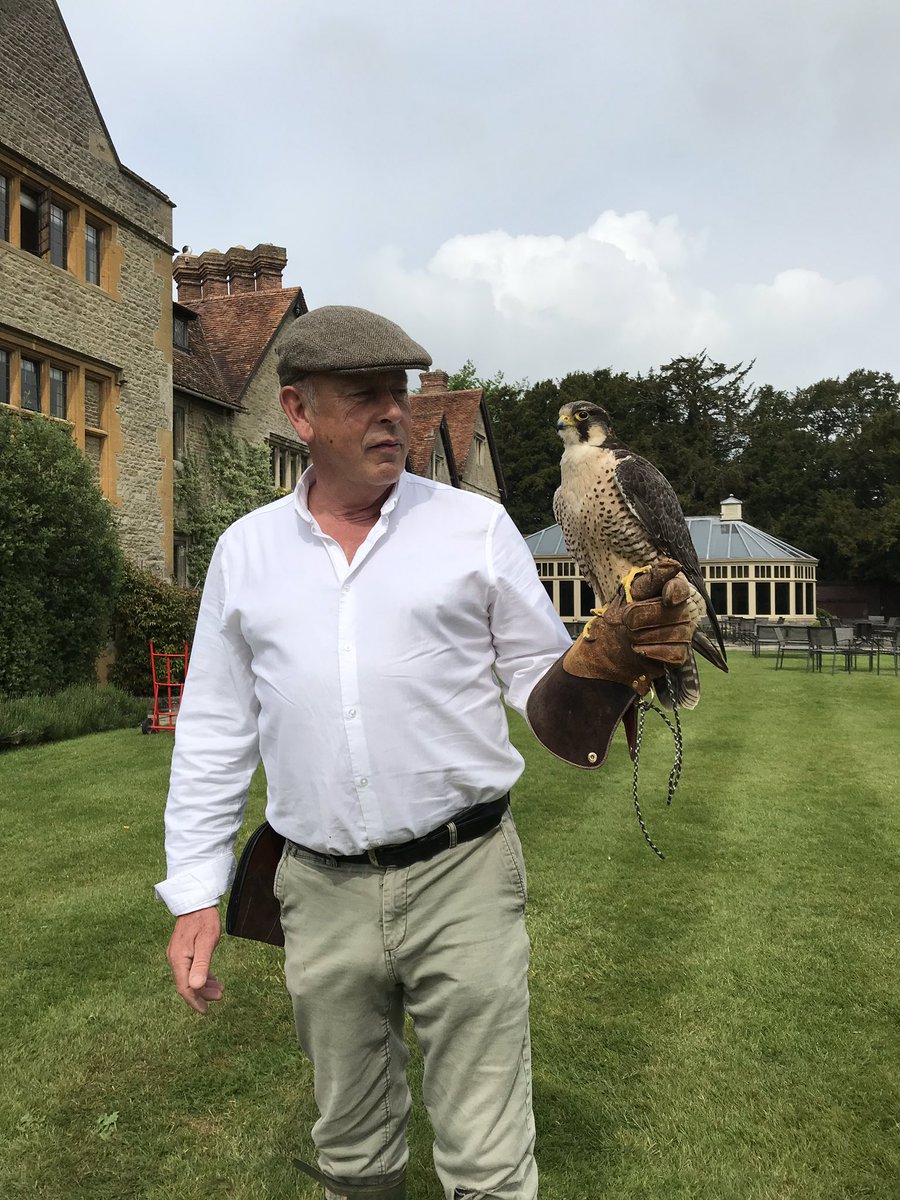 wheatleybirds's tweet photo. Bird of prey experiences available. Fly and handle a variety of birds of prey. https://t.co/GD53iWz4xk