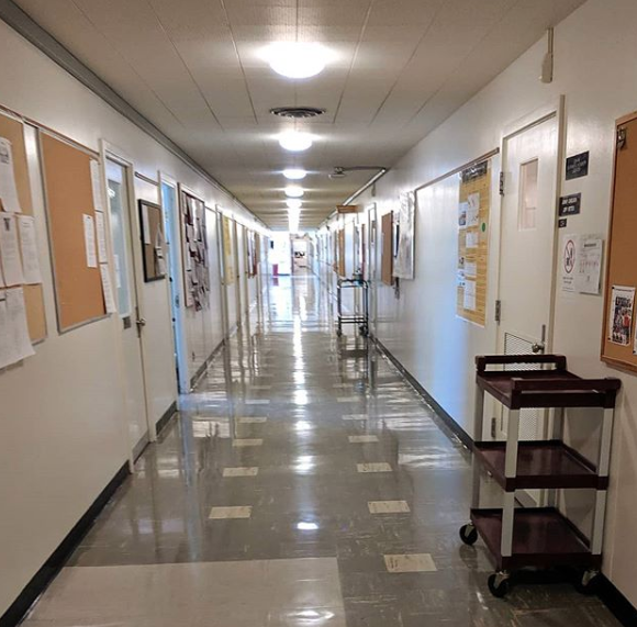 wsmagazine's tweet photo. Second floor, Johnson Hall. This building is mostly dedicated to plant and soil science. Did you ever have any classes in here? @wsucahnrs @WSUPullman #WSU #WSUPullman #johnsonhall #plantandsoilscience https://t.co/VwroZxYdZL
