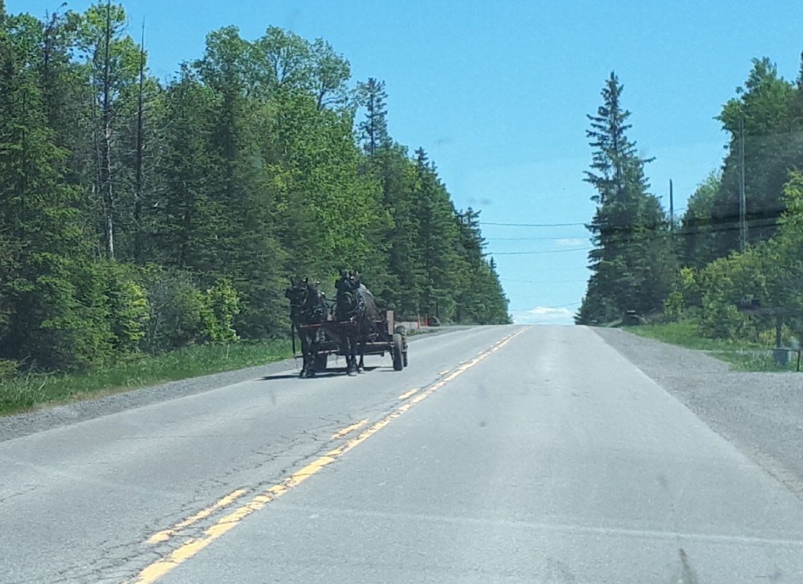 When driving on #DwyerHillRoad between #Hwy7 & #PakenhamON keep an eye out for this man and his team of horses #slowmoving