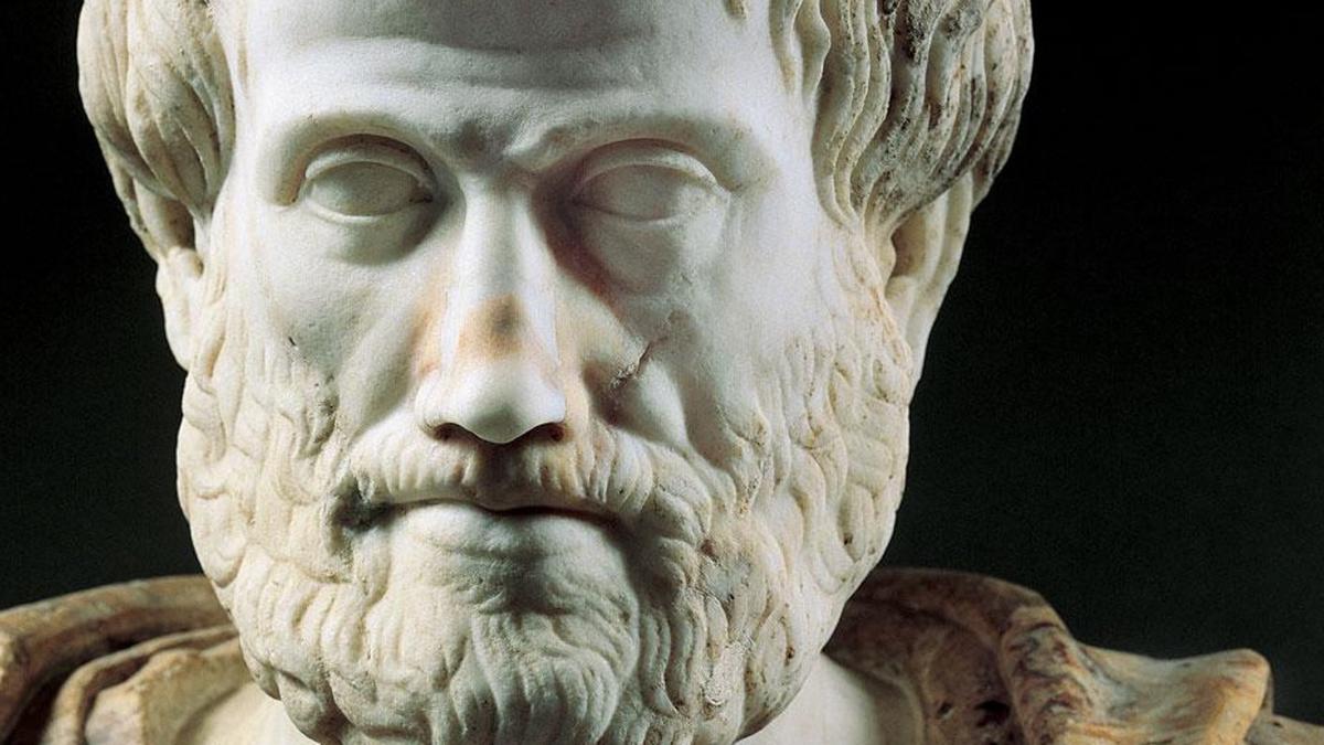 Aristotelesin değeranlayişi
