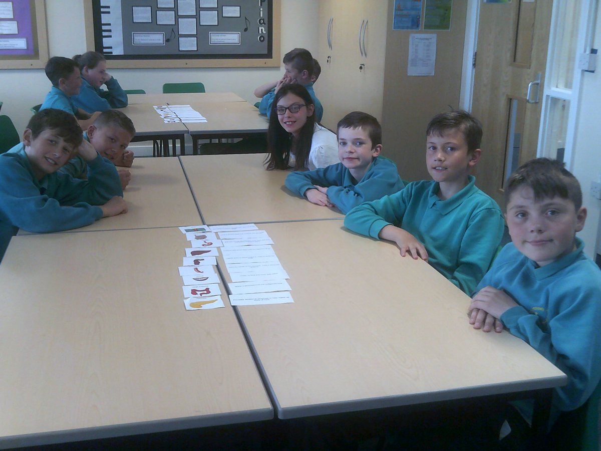 ClaveringTS27's tweet image. #6RT  In science, we have been revising the digestive system.