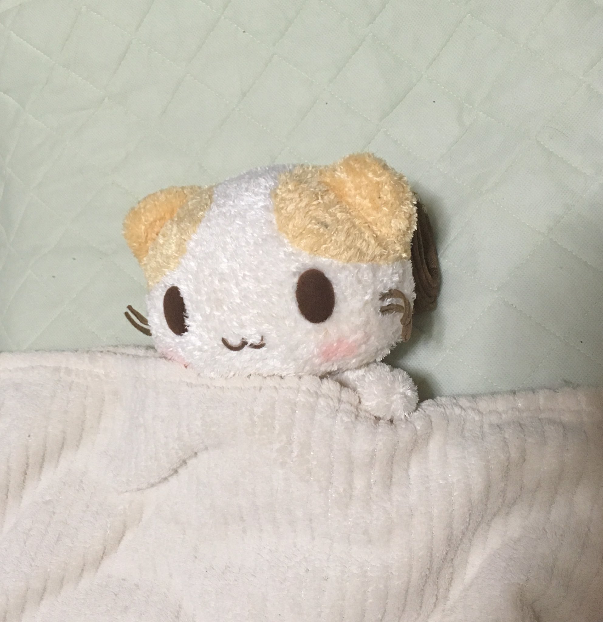 マシュマロみたいなふわふわにゃんこ SANRIO(一時休止中