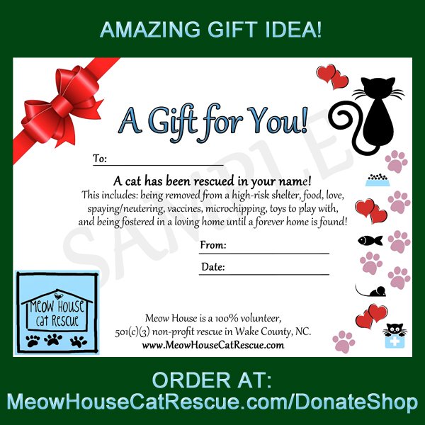 meowhousecat's tweet photo. Father's Day is this Sunday, and we've got you covered! How much would it warm your dad's heart to know that A CAT WAS FULLY RESCUED IN HIS NAME? Get yours here: https://t.co/0xrH1vdRUw #fathersday #catdadsrock #catrescue 100% of proceeds go directly to the cats! https://t.co/x3TFp3V0LG