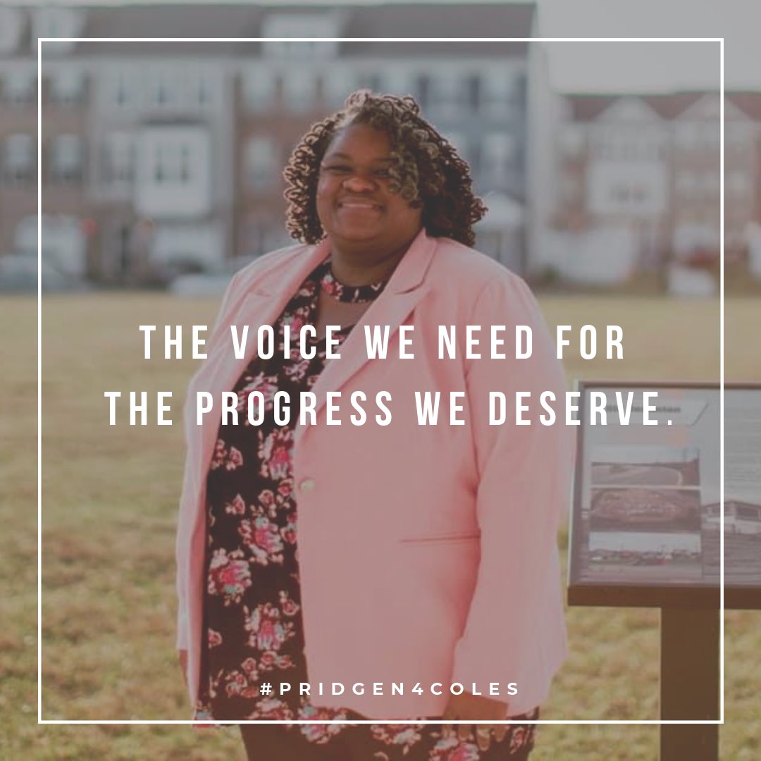 coles2019's tweet photo. Get out and vote TODAY for LT! She wants to be your voice on the board of supervisors! #Pridgen4Coles https://t.co/qV5TQodrkK