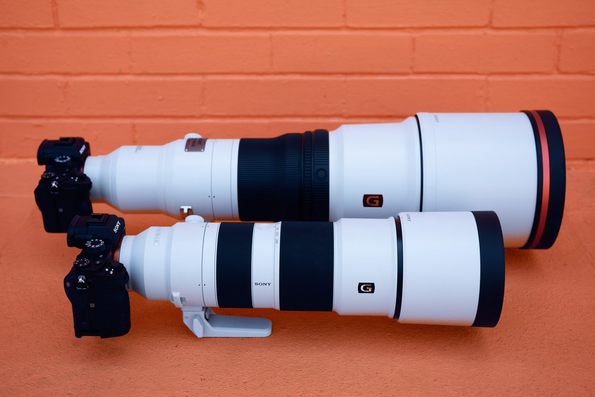 Sony | Alpha tweet media