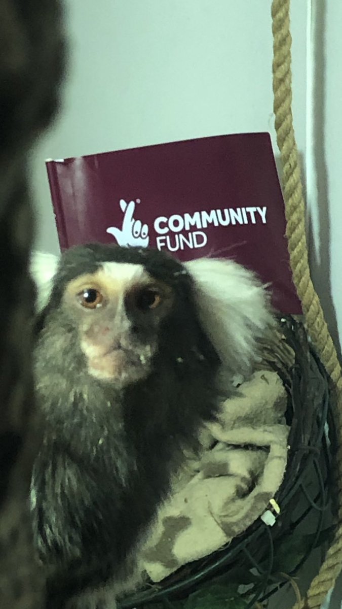 Huge thankyou to the #NationalLottery our future looks promising with you on our side #savethemonkeys