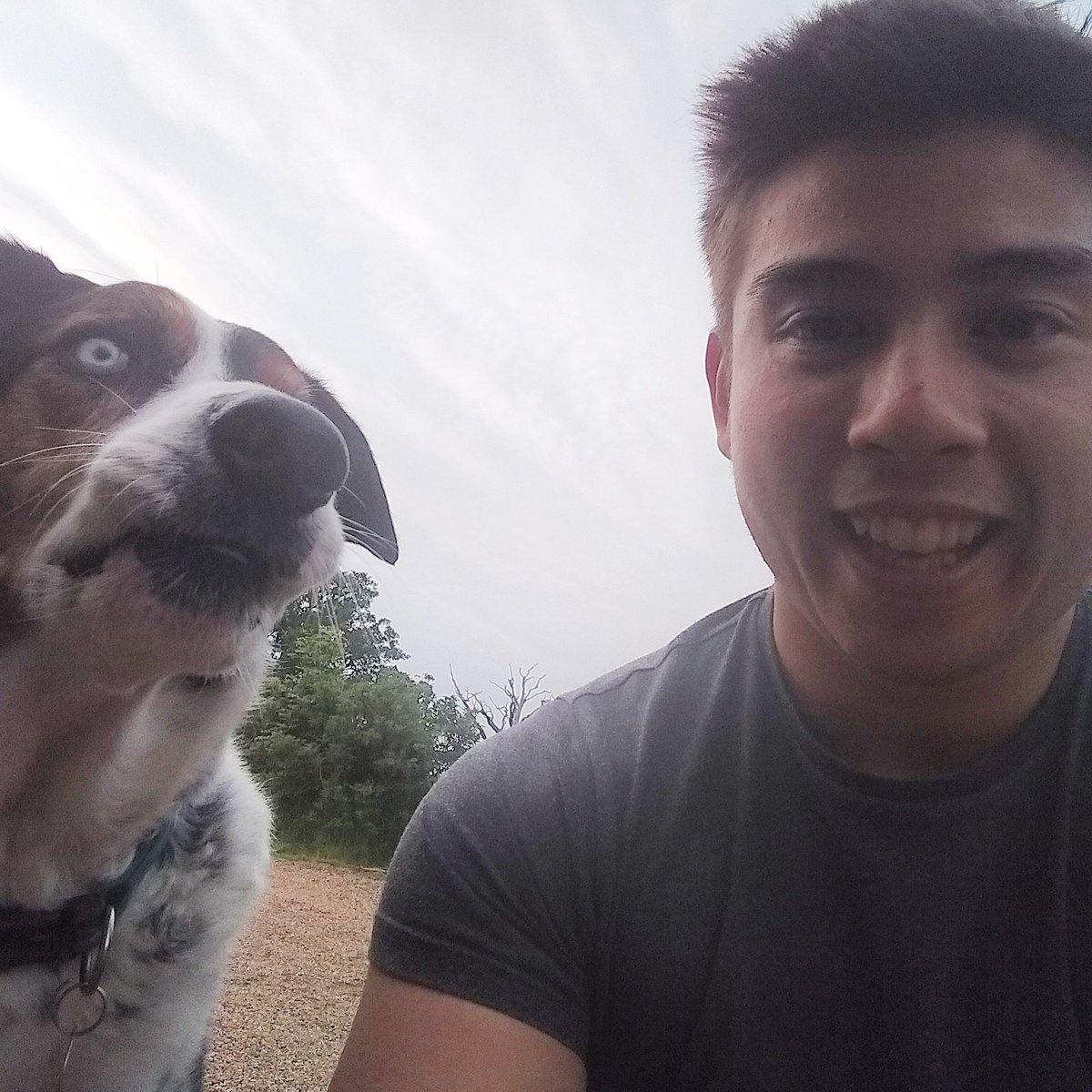 Immortal Machinery tweet media