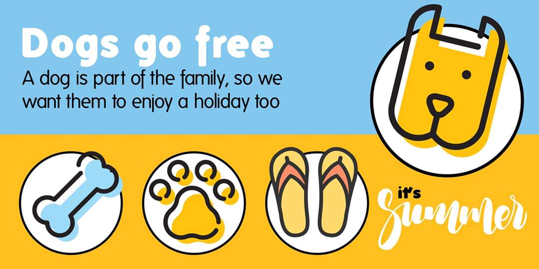 Dogs need holidays too!