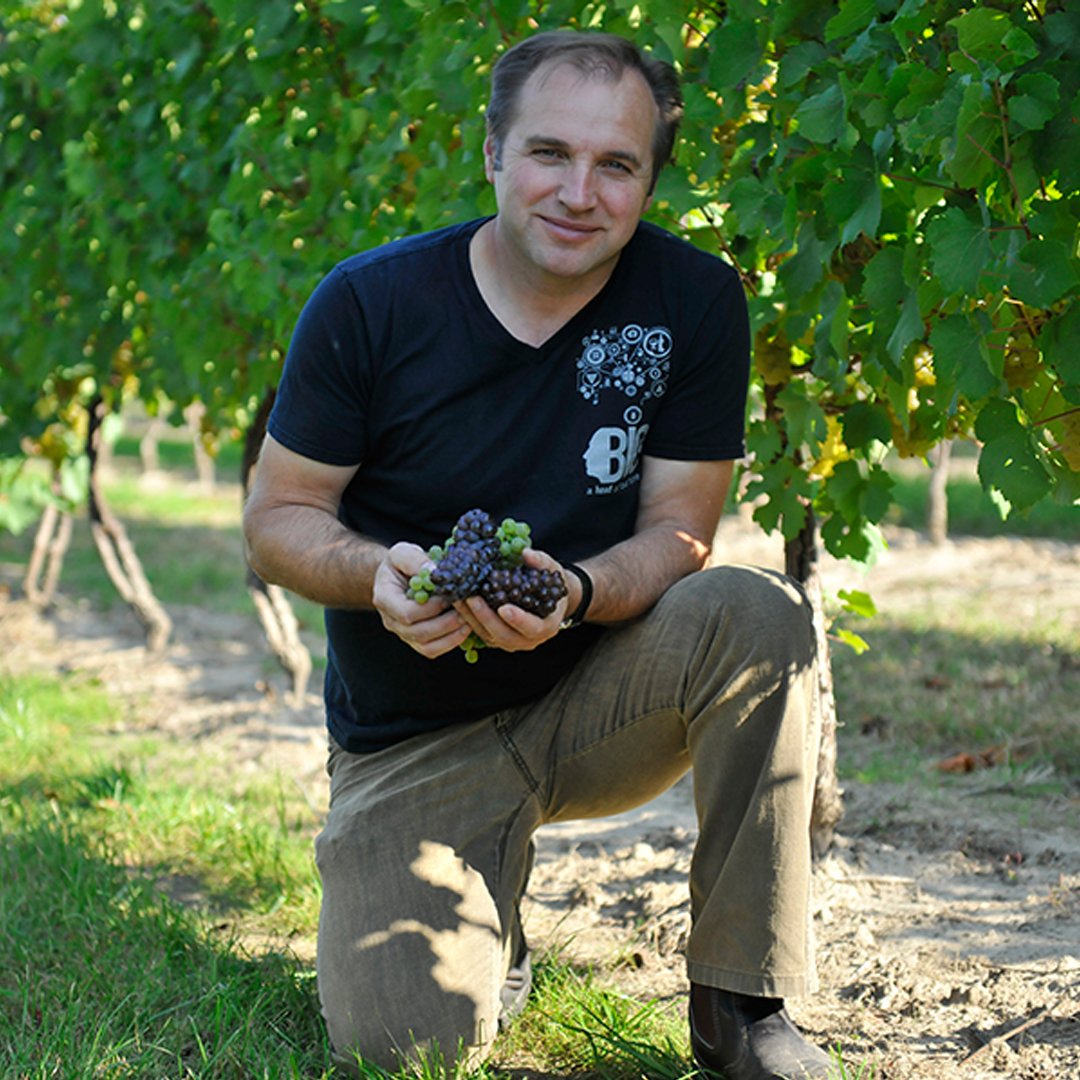 Natural wines are starting to trend here in Niagara, bringing us back to the roots of winemaking. Find out which restaurants and shoppes carry these unique tastes and learn how these wines are made. Check out the link in our bio for the full digital version! #NaturalWine