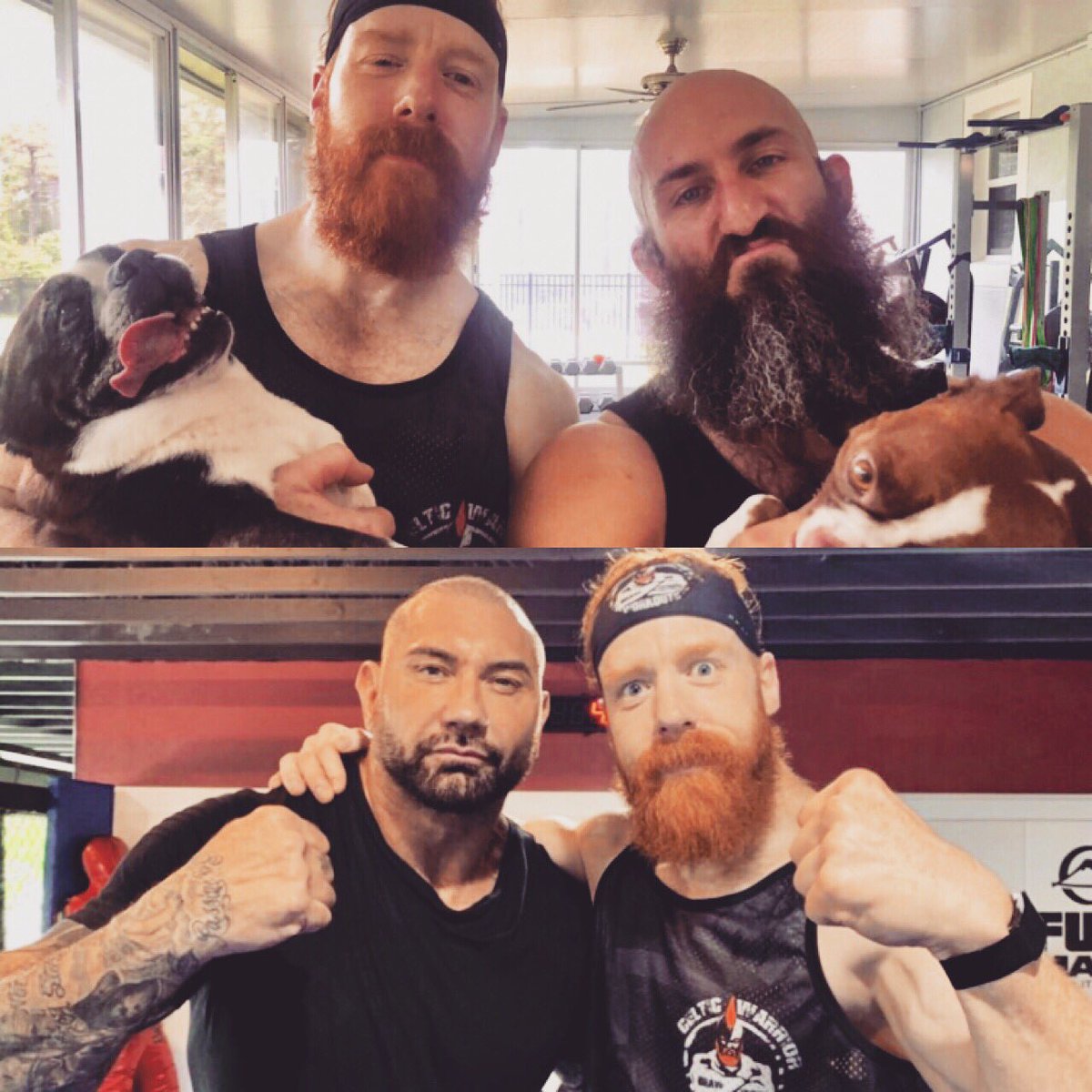 Sheamus tweet media