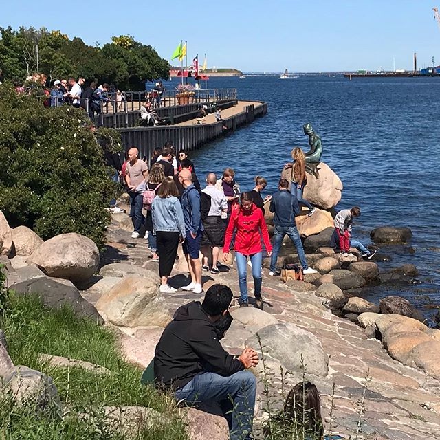 JokeTravel's tweet photo. The little mermaid madness 😎😁
🇩🇰
🇩🇰
🇩🇰
#littlemermaid #lillehavfrue #kopenhagen #kleinezeemeermin #copenhagen #fckøbenhavn #denemarken #danmark #danmarkphotography #traveldeeper #photooftheday #cityphoto #cityphotos #madness #touristicplaces #toerism… https://t.co/te3H5XVYiu https://t.co/IWub58EOlk