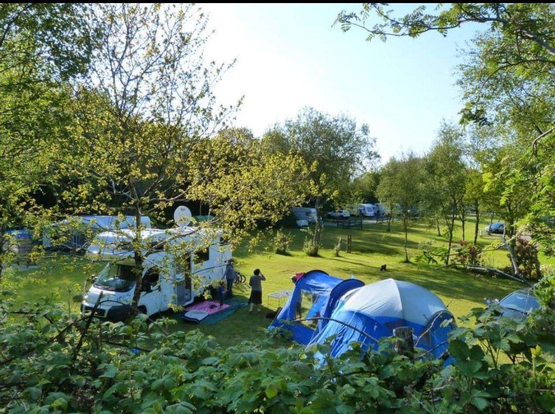 HedleyWoodHolidayPark (@woodhedley) on Twitter photo 
