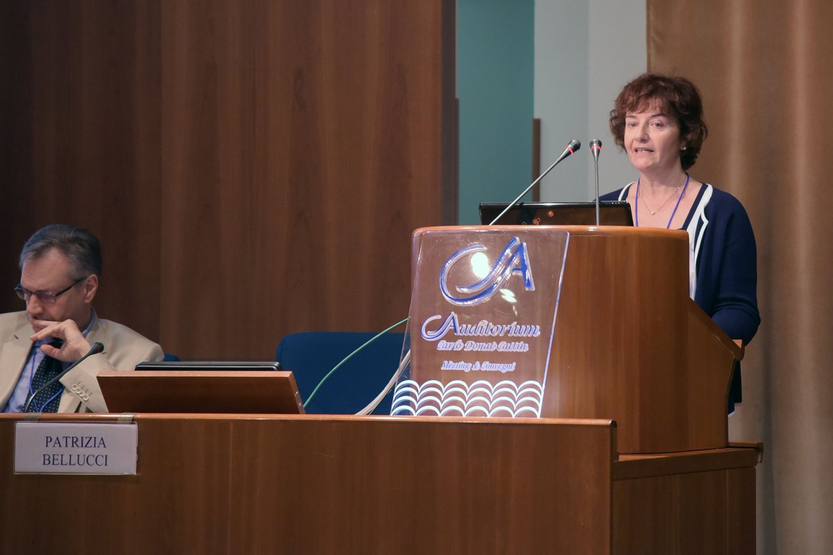 lifedynamap's tweet photo. The LIFE DYNAMAP project final conference (https://t.co/xFgXeepXGs) has been held on June, 6th in Rome, at the Via Rieti Auditorium. About 100 participants took part an the event, belonging to the institutional, technical-professional and research world. https://t.co/zSIayDs9cb