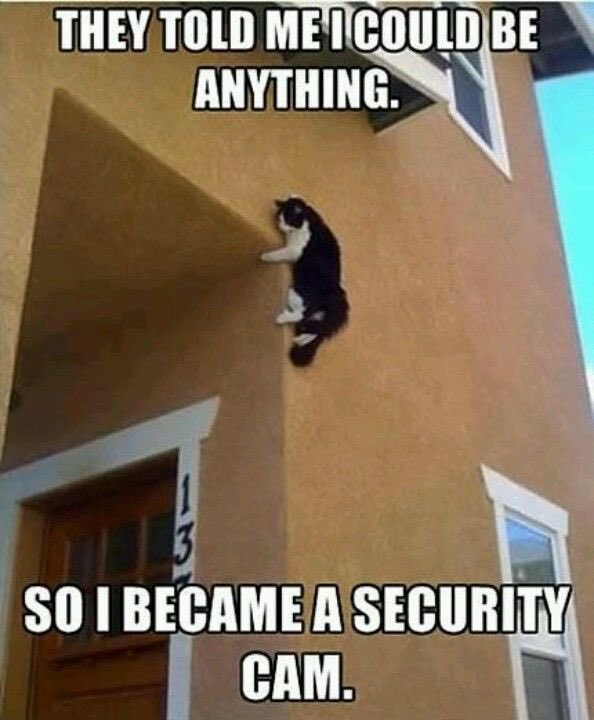 Libertytele's tweet photo. #securitycam https://t.co/MVDzXO72S0